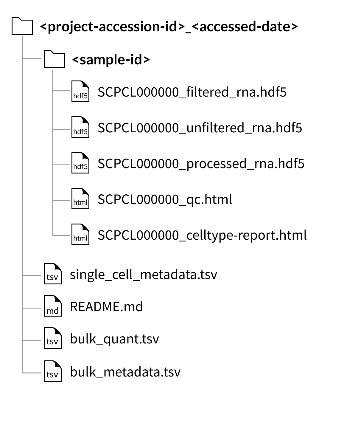 project download folder