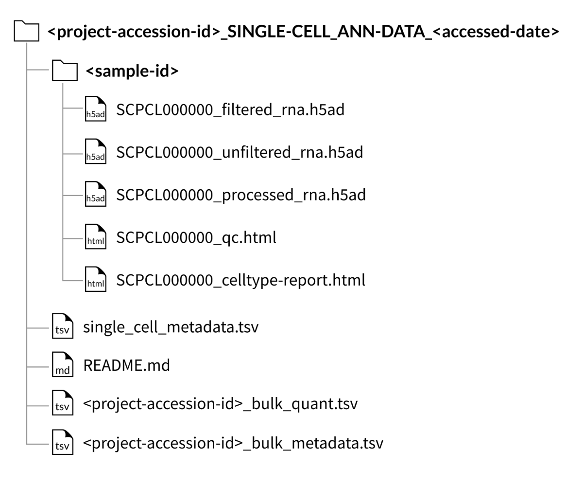 project download folder