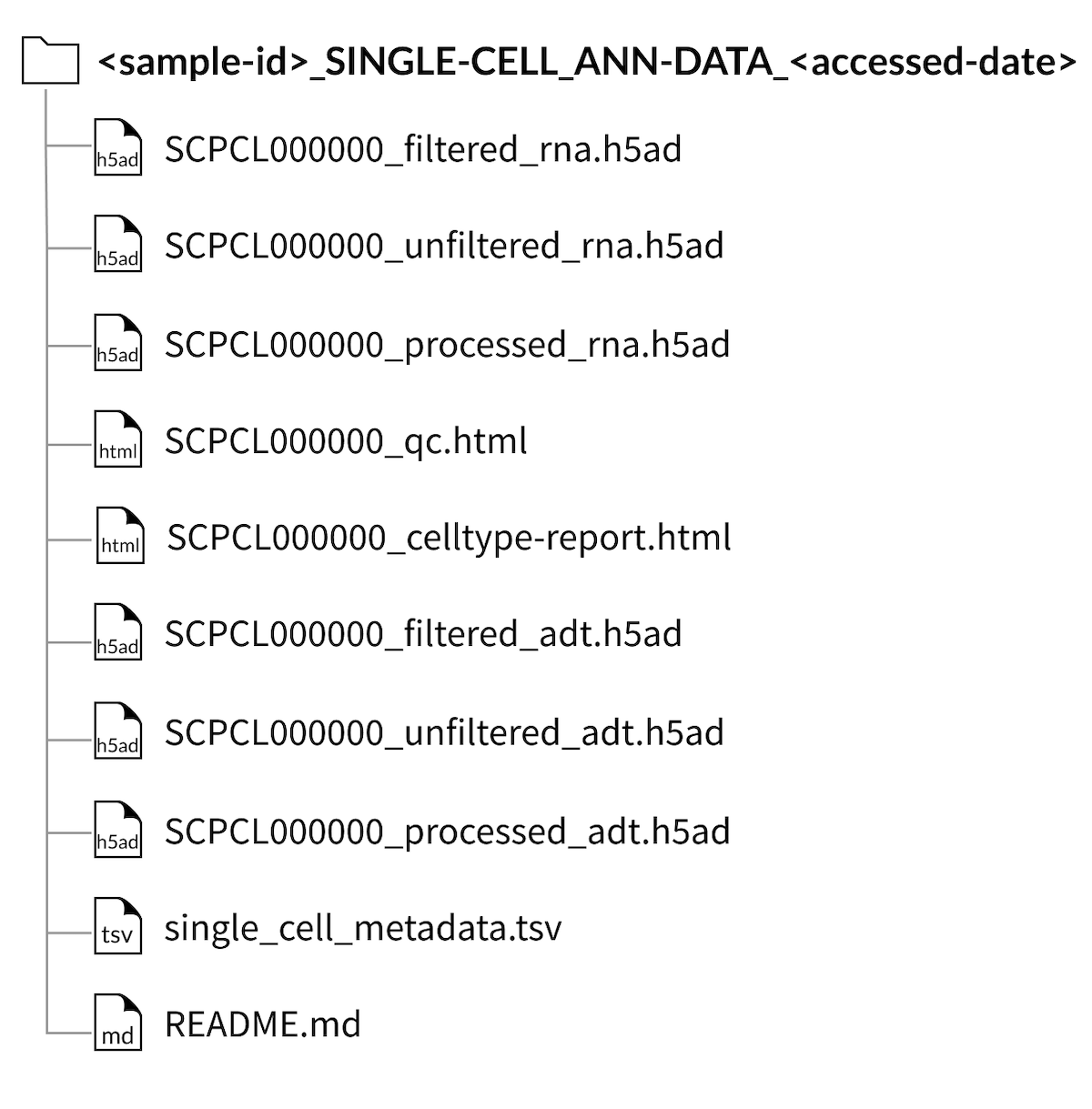 sample download folder