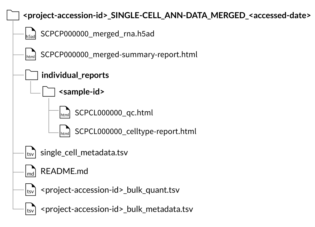 project download folder
