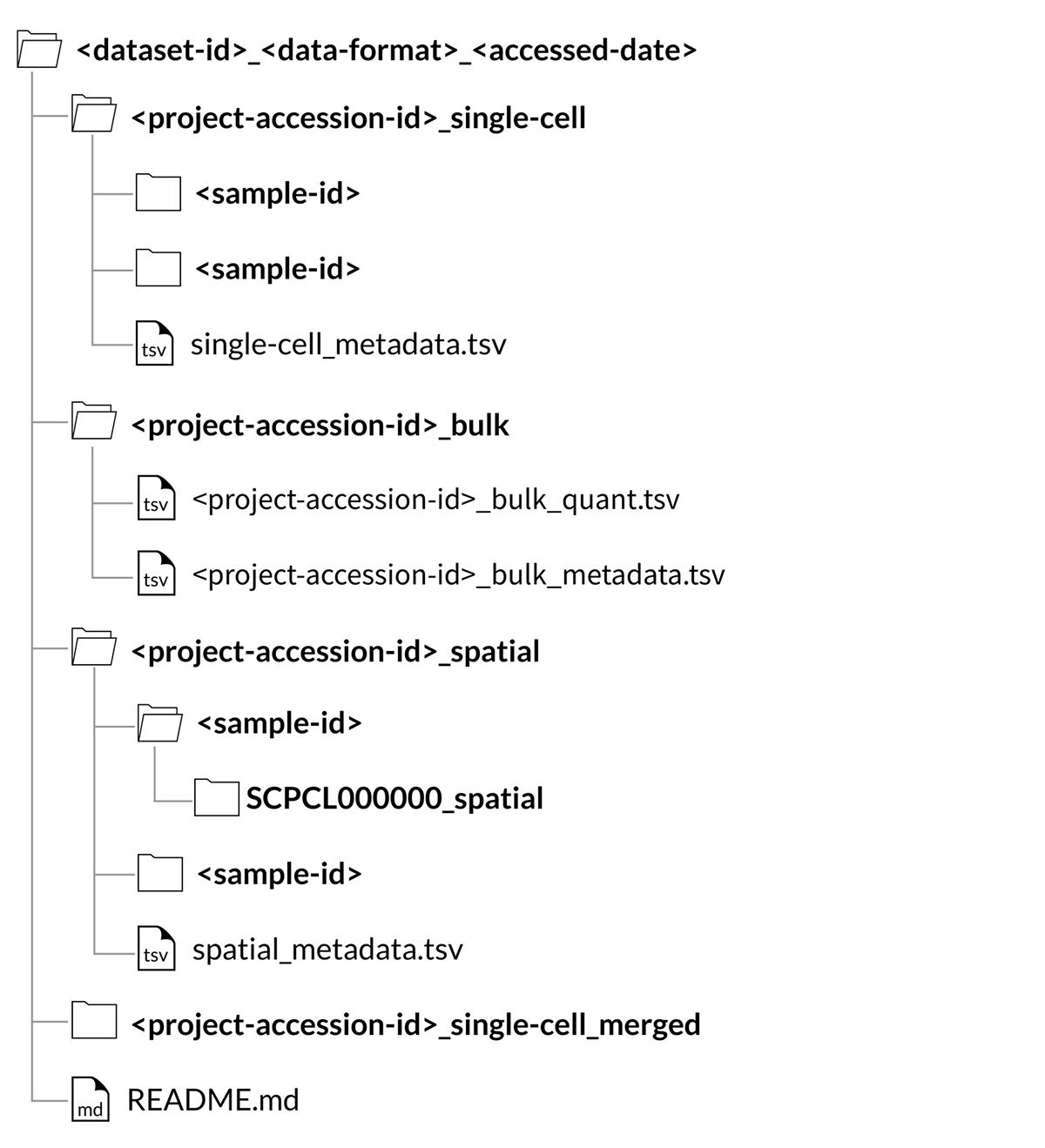 custom dataset download