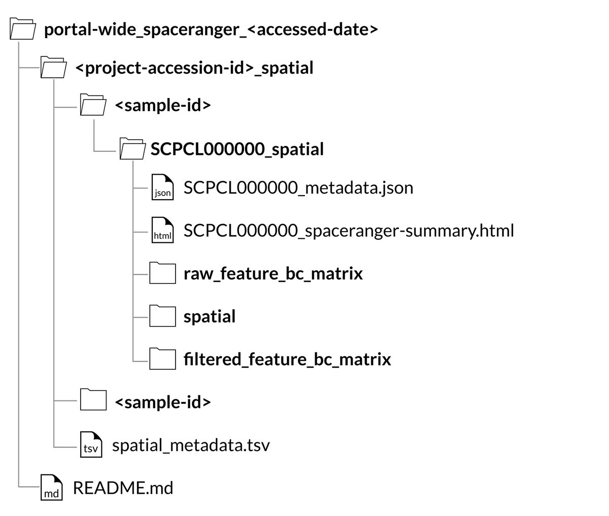portal wide download structure - spatial