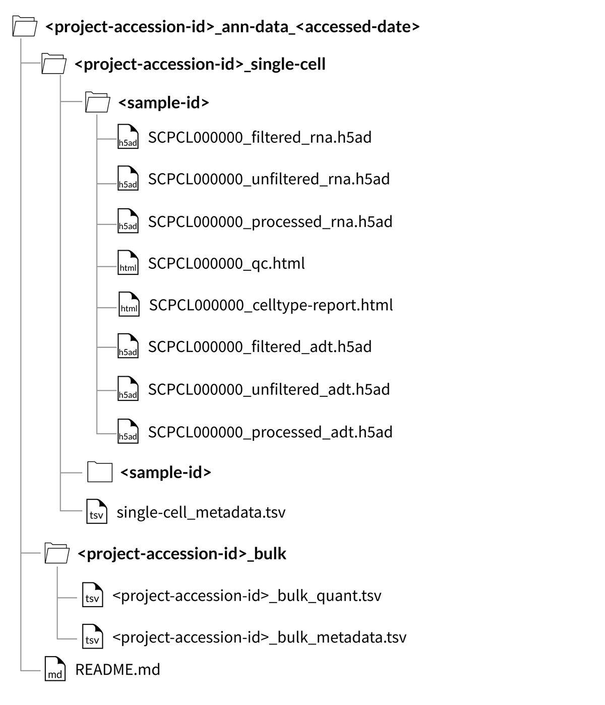 project download folder