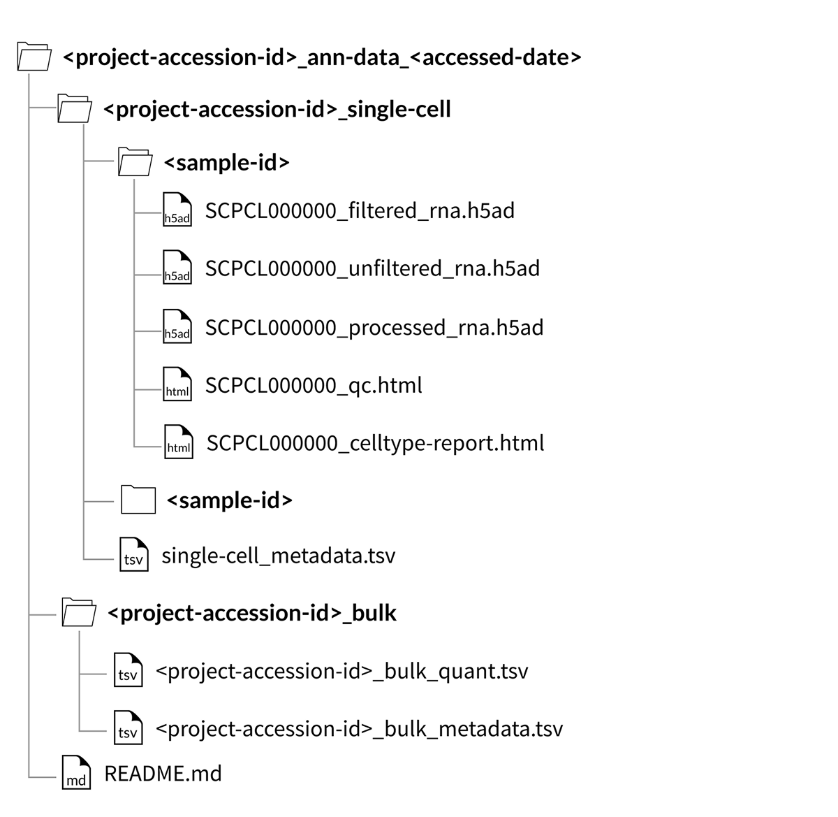 project download folder