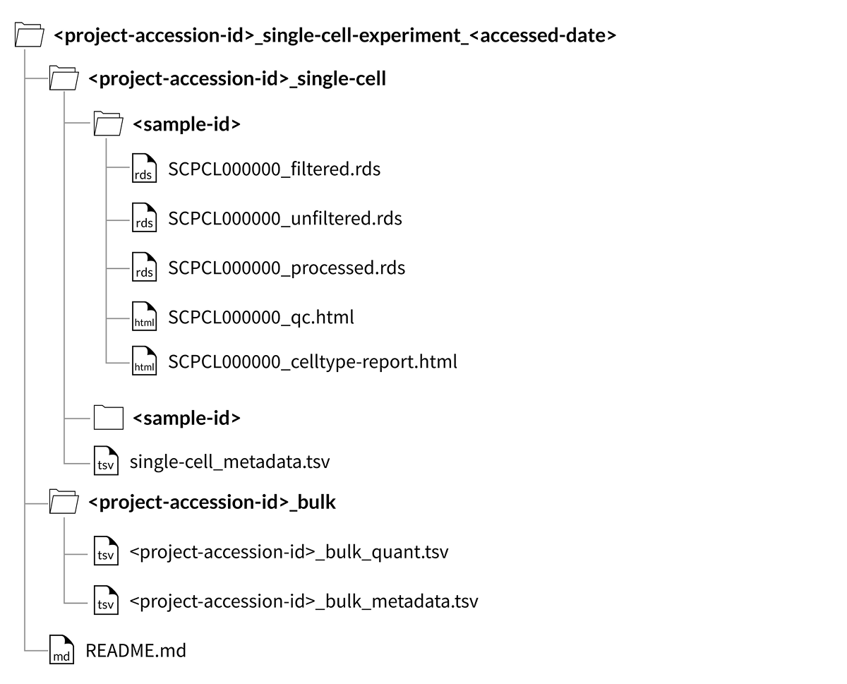 project download folder