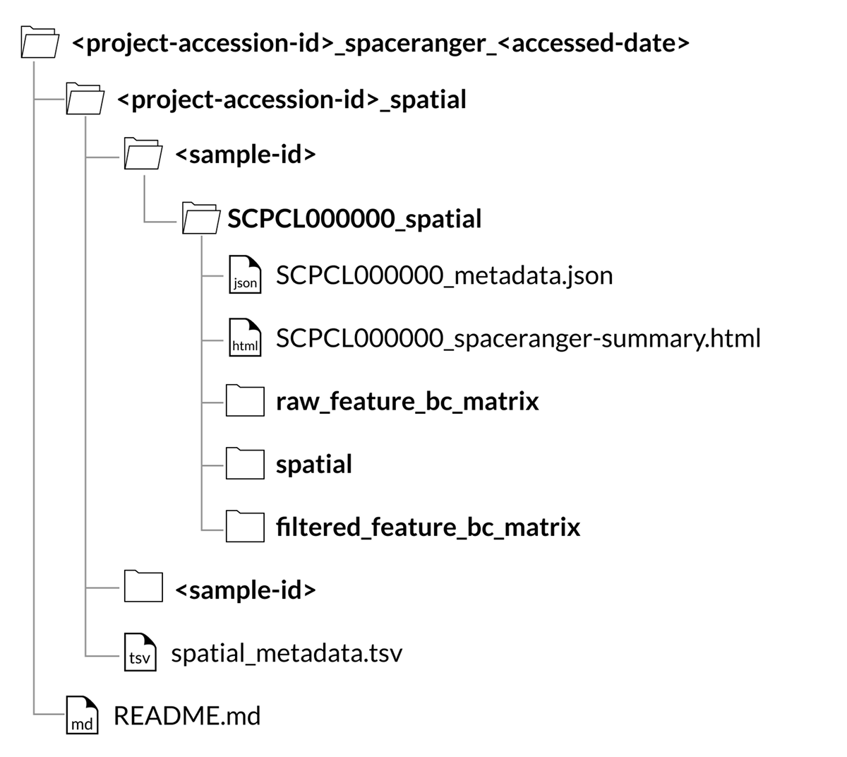 sample download with spatial